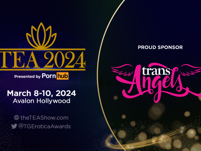 Sponsor-TransAngels-Tw-1