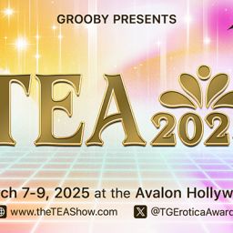 2021 Nominees – The Trans Erotica Awards
